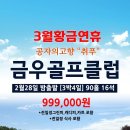 비고리조트 18 이미지