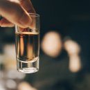 노루모TV | 시바스리갈 미즈나라(Chivas Regal Mizunara) 위스키 리뷰 | 일본 오크 블렌디드 스카치 시음 후기