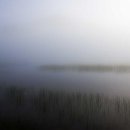 맑은사람들 이미지