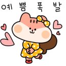 데시앙 세탁 이미지