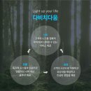 다비치안경밀양점 이미지