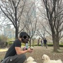 24시애견미용 | [인천송도]유폴 24시 애견셀프목욕송도점 미용 가능한곳 !? 다녀온 후기 !! 이색데이트 추천