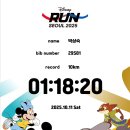 패션뉴스 | 첫 10km 도전이었던, 디즈니런 솔직 후기(다시 참여하지 않을 듯)