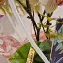 한국타이어빌딩 이미지