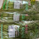 한재미농장 | 밀양 표충사 재약산 청정미나리 만월농원 내돈내산