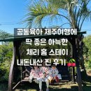 세화방방 | [제주 아기랑 숙소] 제주 체리홈스테이 내돈내산 찐 후기👍♥️