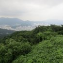 연제구-161 이미지