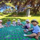 보리네김밥 이미지