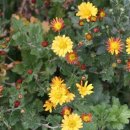 여미지한의원 이미지