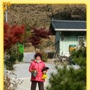 개나리마을 이미지