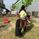 프리미어아레나승마클럽 이미지