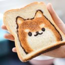 토스트토스트