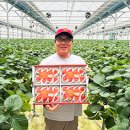 농업회사법인 싱싱축산 주식회사 이미지