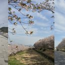 주촌 - 서산시 | 주촌
