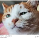 그루밍 봄 이미지