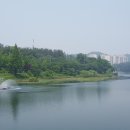 은파호수공원 이미지