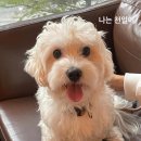 천일쇼파 이미지
