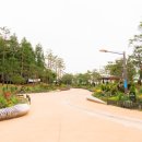 장미정원 이미지