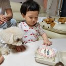 사미제과점 | [해운대 레터링케이크] "사미제과점" 도시락케이크 솔직후기