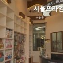 서울프라임동물병원