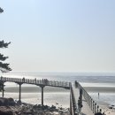 홍홍분식 | [무의도 하나개해수욕장 당일치기 캠핑 인천 무료캠핑장] 주차,취사,놀거리,알리 바베큐테이블 후기