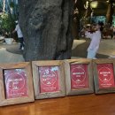 선정식당 | 치앙마이 미슐랭 4년 연속 선정 맛집 카오마오카오팡 정글 식당 방문 후기