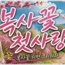 복사꽃 이미지