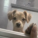 백왕사 | 얼렁뚱땅 Jan - Apr 🎐