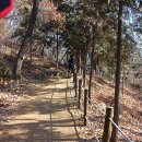 제1353회 12월16일 (화요일) 인천 계양산 묵상동 솔밭 둘레길 이미지