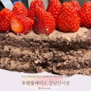신사역 디저트 맛집, 투썸플레이스 강남 신사점 케이크 포장 후기