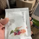 구례 산수유로 활력 찾은 솔직 후기 🌿