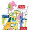 포항초등학교 이미지