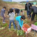 기쁨농장 이미지