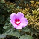 정화노래연습장 이미지