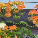 커플링모텔 이미지