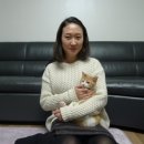 차지우동물병원 이미지