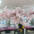 태화밧데리 - 영천시 강변로 35-2 | [울산 부모님 효도폰] "여기다 휴대폰 태화점"에서 아버지 스마트폰 바꿔드린 찐 후기!