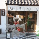 떳다아나고 | 대전 반석동 맛집 , 텐동 덮밥이 떳다! 반석역맛집 무라텐에 다녀왔어요!