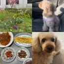 투썸플레이스순천오천점 이미지