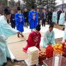 달맞이 강원도민일보