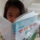 돼지네울타리 이미지