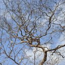 성주사지 | 보령 성주사지 터,