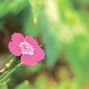 달아한잔 이미지
