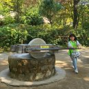 경희대 향남태권도 이미지