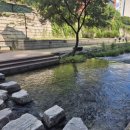 10월3일(토)10월 정기도 청계천·서울시청 하늘전망대 이미지