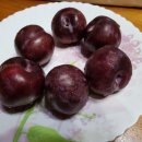 행복애농원 | 피자두 진짜 맛있는 문애자두농원