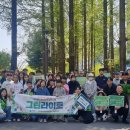 그린라이트