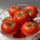 토마토2 이미지