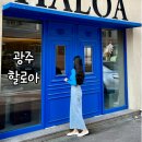 할로아 이미지