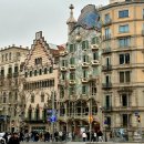 펠리스 | 바르셀로나 가우디 투어 추천 투어펠리스 내돈내산 후기